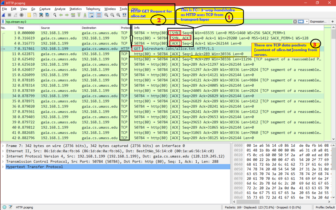 wireshark search for string in packet