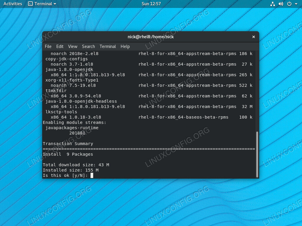 Goto Linux Com Rhel 8 Centos 8 Linuxにjavaをインストールする方法