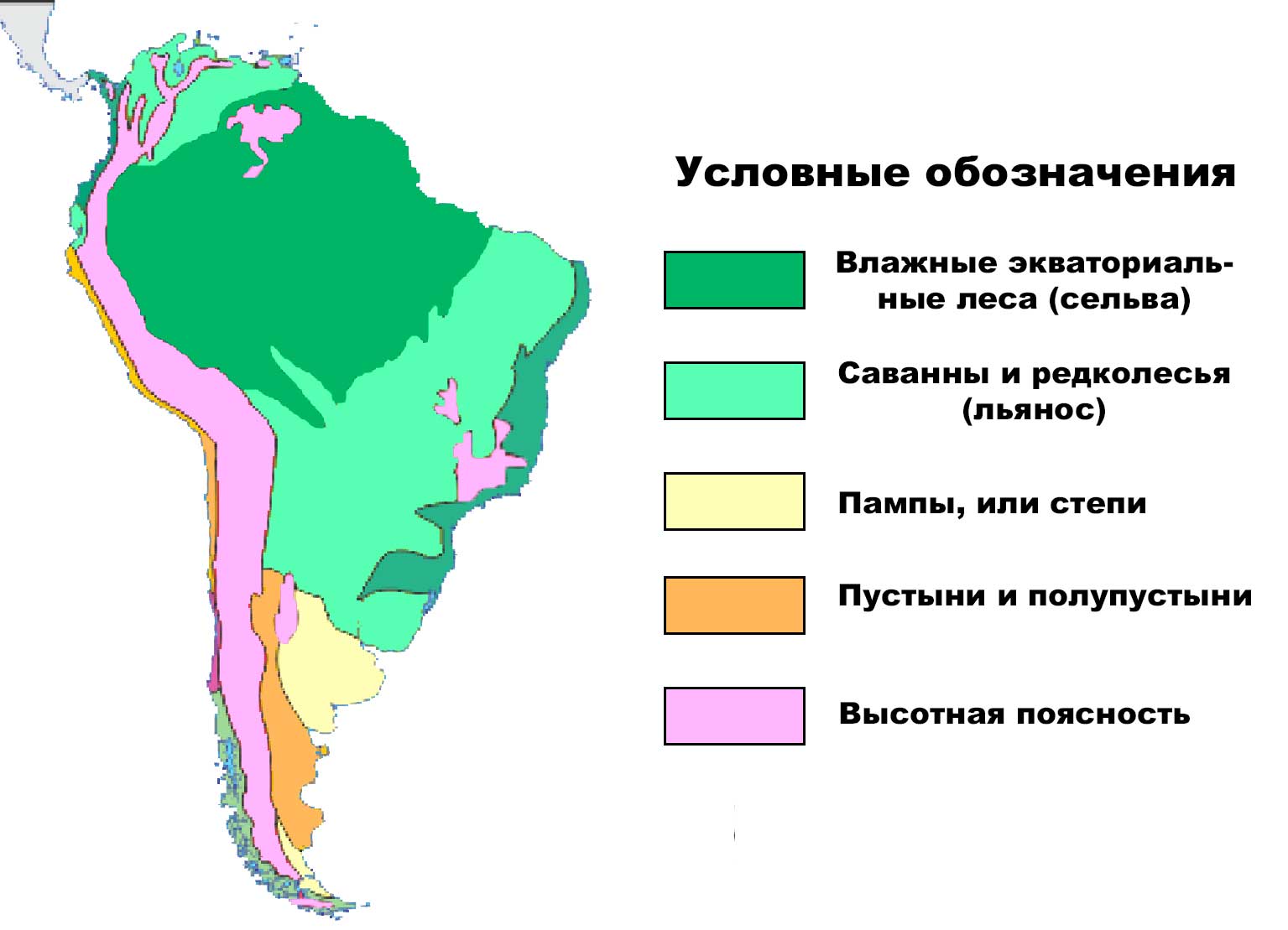 Church Of Hive 南アメリカの自然地域 地図 名前 地理的特性 表